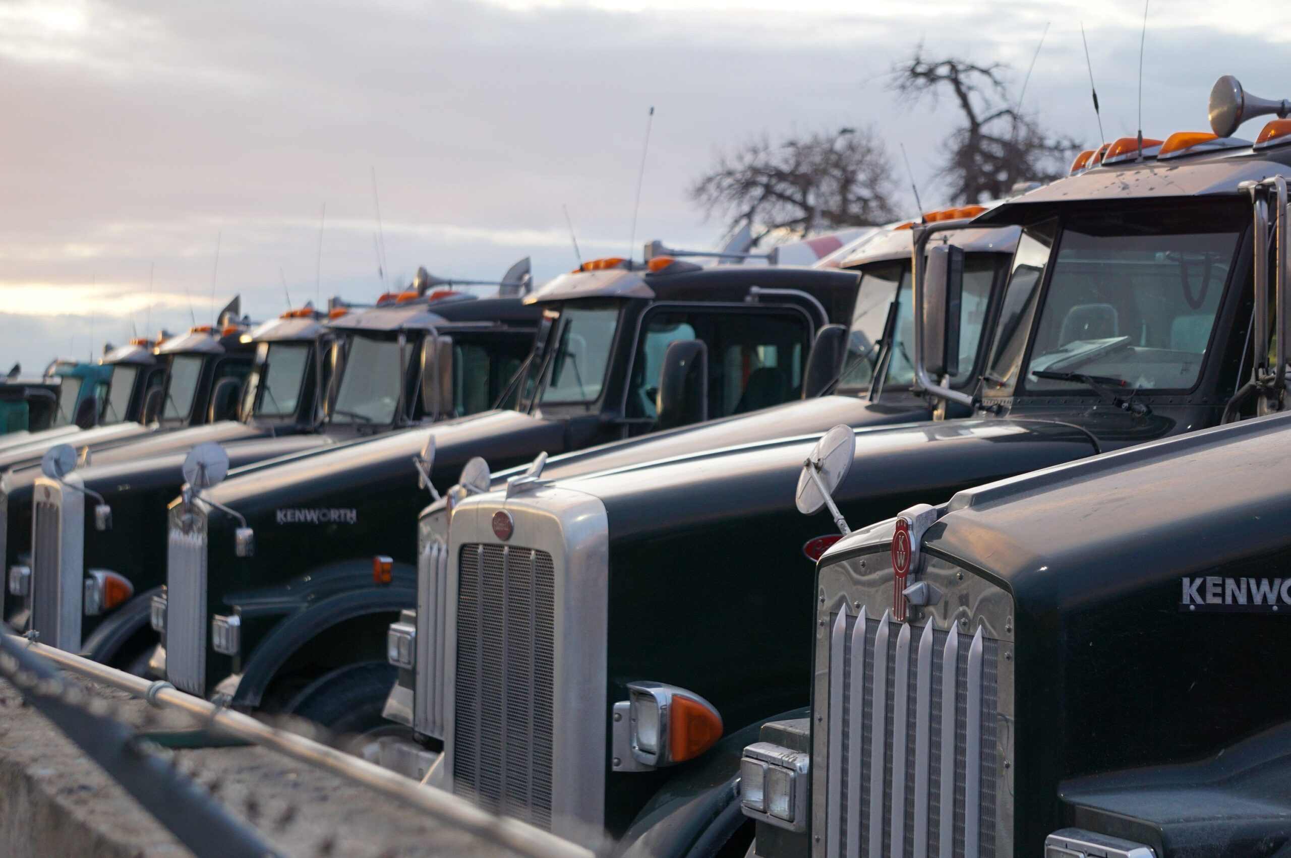 FLEET ROJ